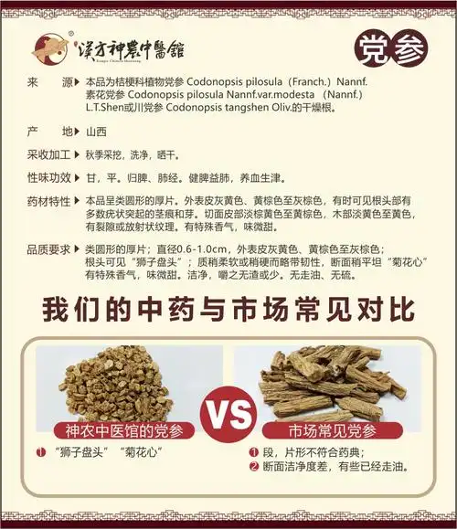 党参(dǎnɡ shēn)