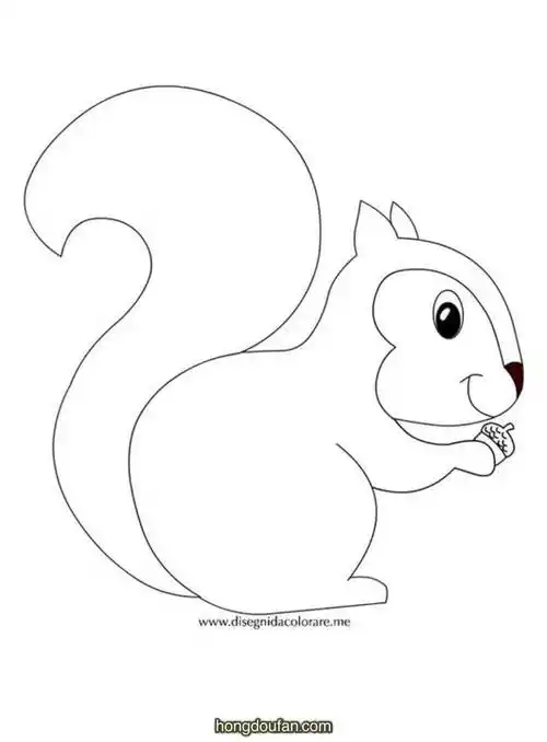 北京动物园,卡通,可爱,宠物,小元素,手绘小元素,松鼠,松鼠简笔画,秋天