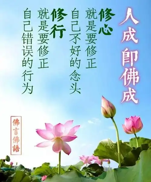 佛家经典智慧故事全集_大话佛家智慧_佛家智慧心语图片