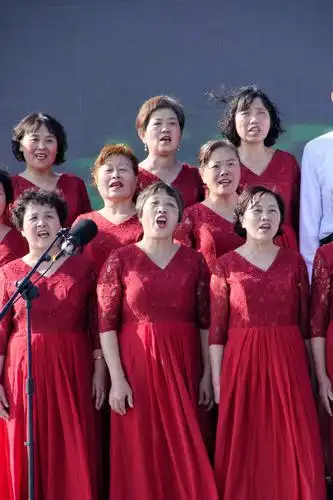 2020年10月25日第十四届老年文化周中老年声乐《大合唱》大赛暨老年