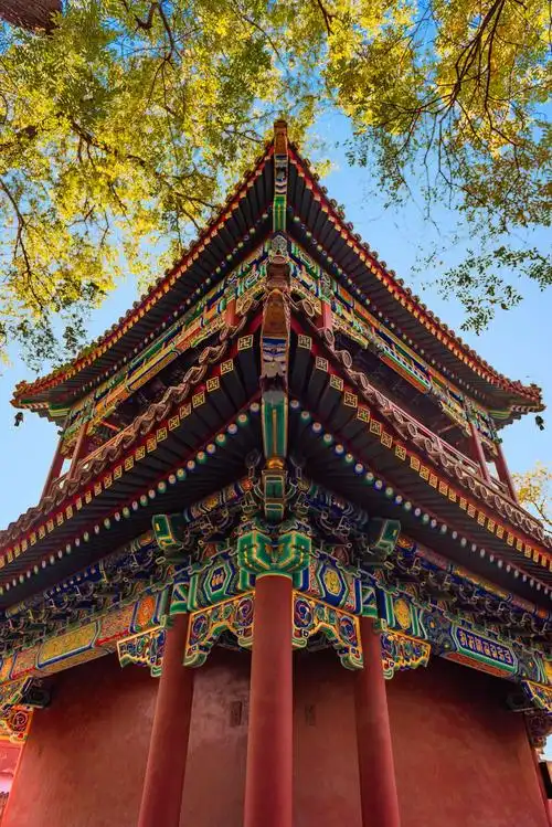 2019年,北京的秋天 - 美篇