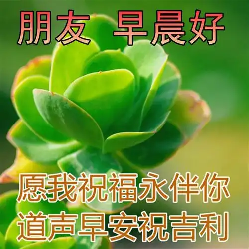 早安心语 早上好图片带字 漂亮早上好表情图片大全