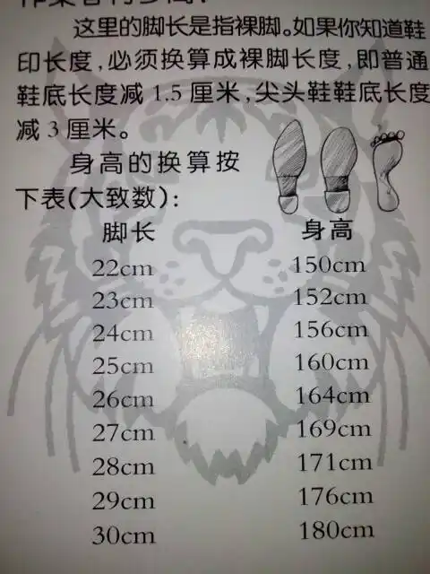 36码的脚,身高怎么算?