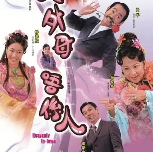 电视剧非常岳母