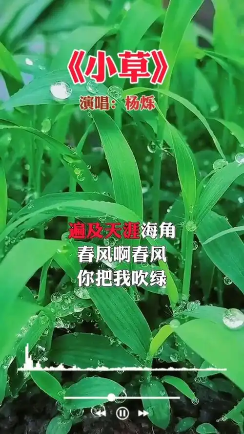 《小草》演唱:杨烁 ,重温经典老歌