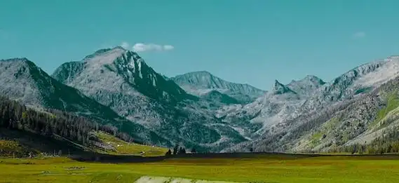 阿尔泰山生命家园对话新疆文物考古研究所研究馆员于建军