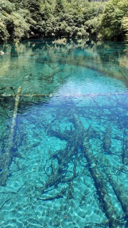 湖中的水清澈见底,湖底的沉木和奇石犹如浸在明镜中