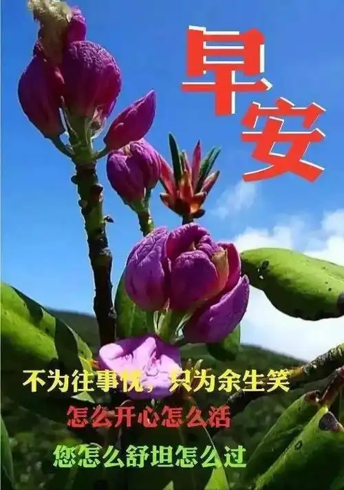 冬季特别漂亮的真人美女版早上好图片带字冬季群发早上好祝福语录