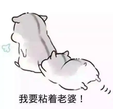 搞笑gif爱老婆专用表情包