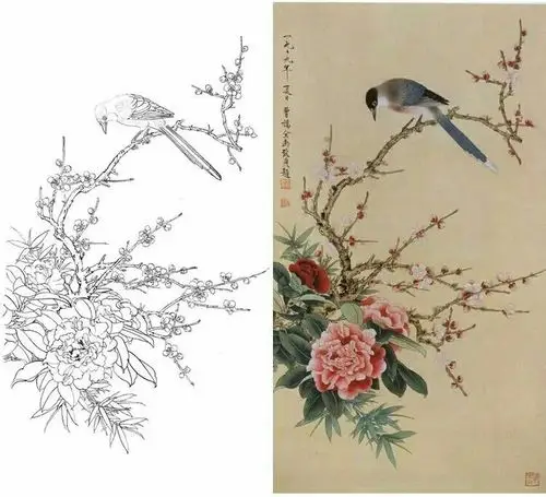 工笔花鸟白描底稿样片对照3