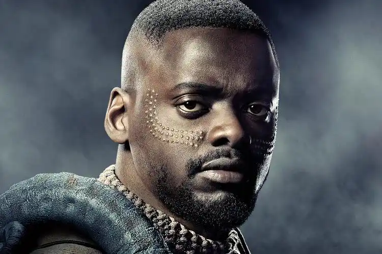 漫威超级英雄电影黑豹人物5k壁纸