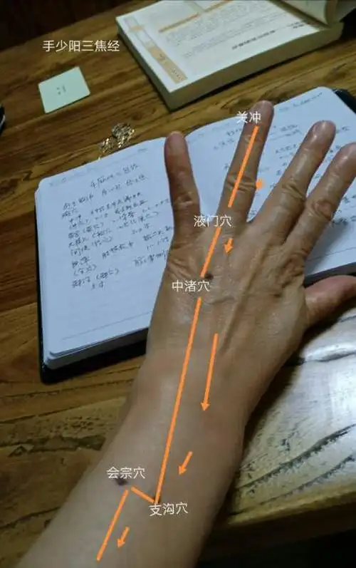 手少阳三焦经穴位9月份4号