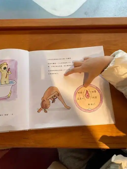 结合这张图,教育 擦屁股要从前往后擦.