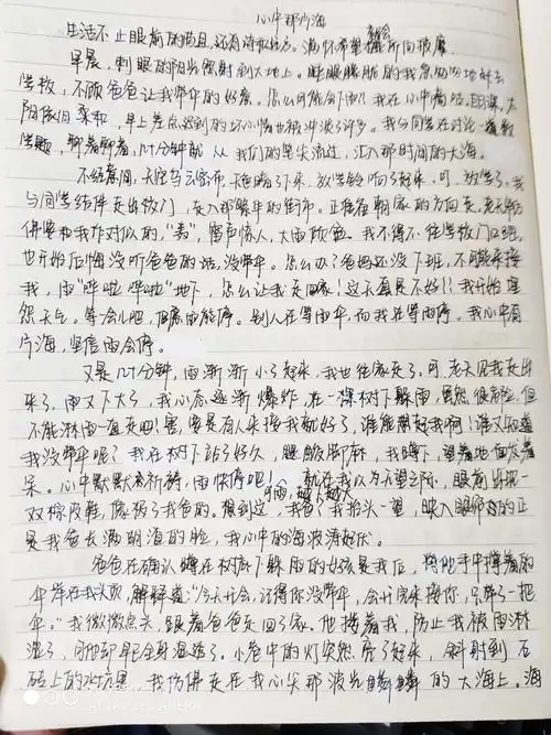 只争朝夕,寄给远方的你——高晓松材料作文交流(2020.12.20)