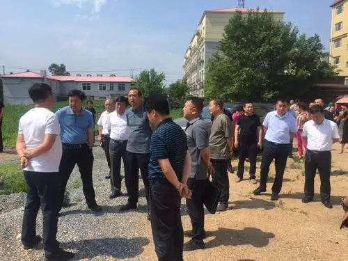 铁东区委书记刘兴禹到石岭镇开展调研