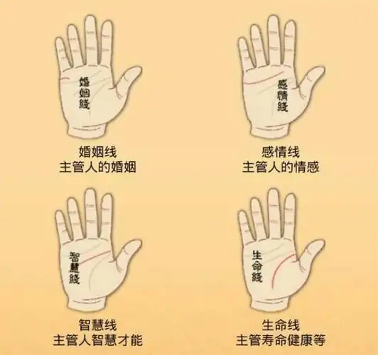 断掌一条线富贵不相欠是何意古人经验之谈现在还准吗