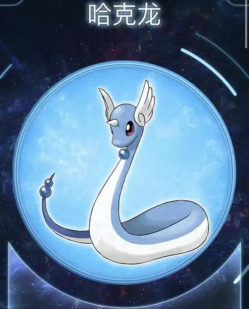 int适配的宝可梦神奇宝贝宠物小精灵随便你叫什么多图