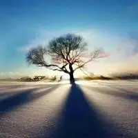 能带来好运日出的微信头像5d钻石画日落diy风景组合圆钻满钻日出n海边