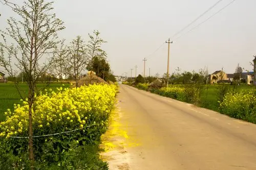 乡村风景,求点评