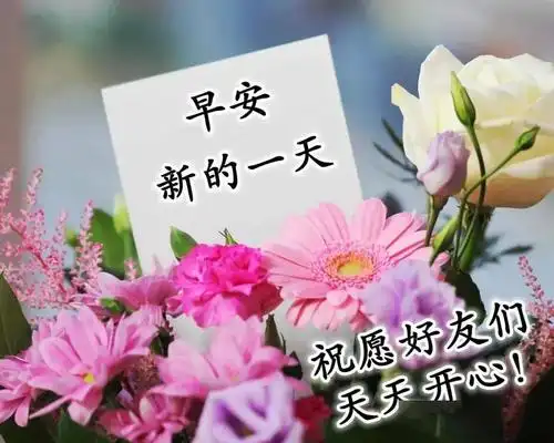 2月26日创意好看的早上好图片鲜花带字带祝福语正月十五朋友圈唯美