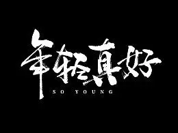 电视剧《年轻真好》字体设计