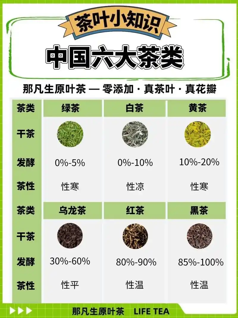 茶知识95六大茶类怎么分.