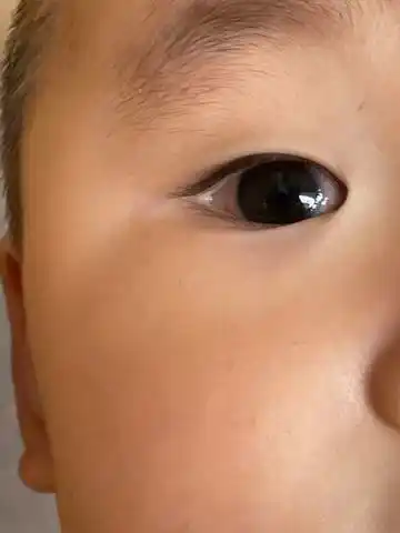 journal_insert_pic_1606842097