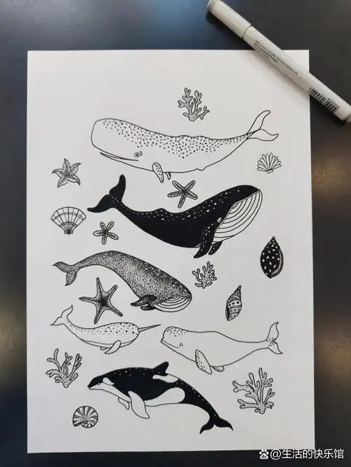 绘画练习/黑白装饰画/海底世界/临摹 手抽筋系列原作者真的很厉害