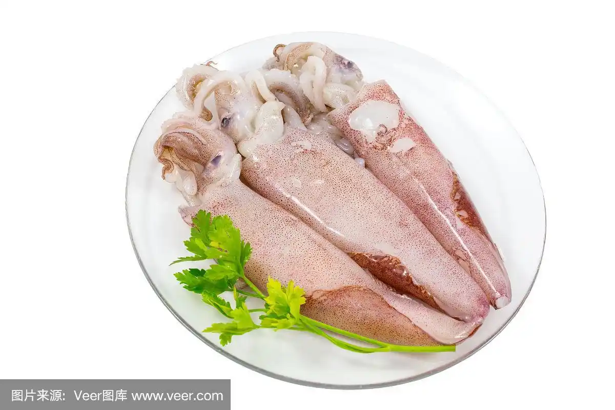 新鲜生鱿鱼/白盘鲜鱿鱼.