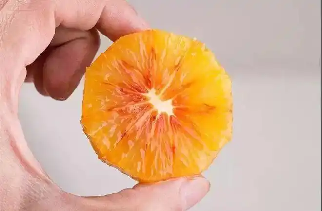 含有血丝奇观的玛瑙果据说只不到1的人吃过它