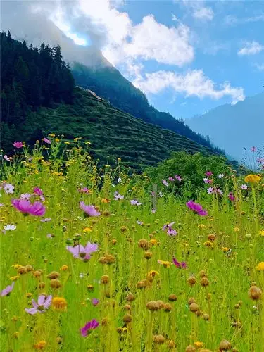 【夏天去哪儿】记录武汉—青海湖沿途不完整旅行,绝对是一次传奇经历.
