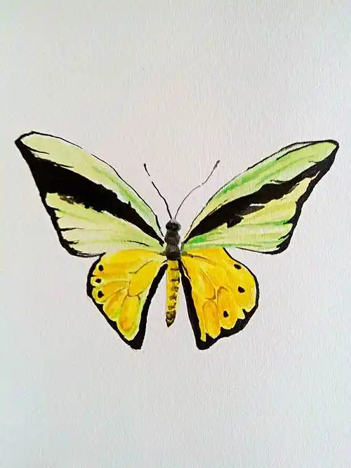 水彩画基础入门水彩画基础入门教程