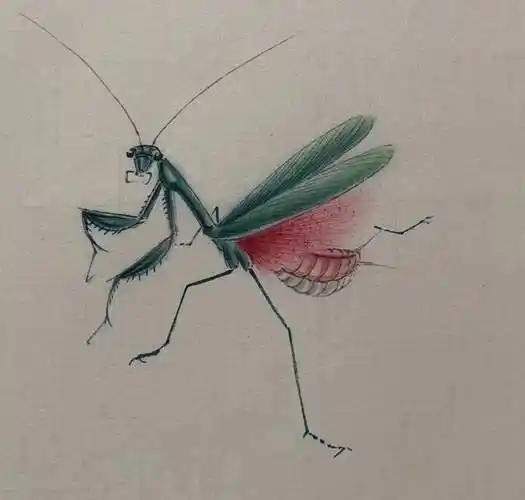 "大匠之门 国画巨匠"李进潮工笔草虫精品展——荣宝斋画院展出_作品