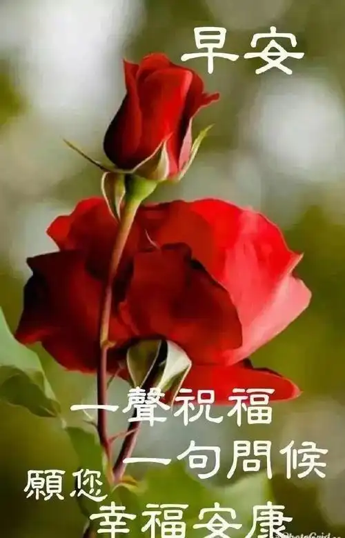 特漂亮早上好问候图片温暖人心的早上祝福语