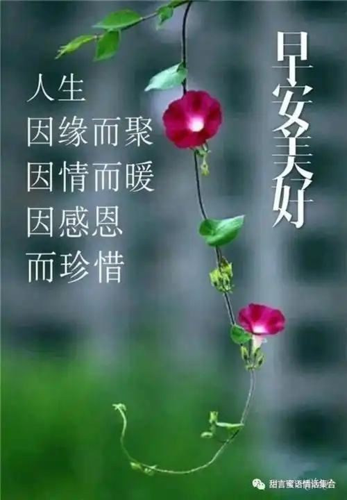 异性暧昧早安问候(翻肠搅肚的早安情话短信)