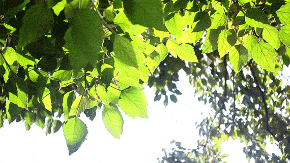 小红书上都在争先打卡的小店在百家村