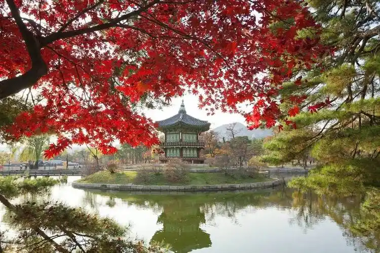 云赏韩国风情独具魅力的潮流之地