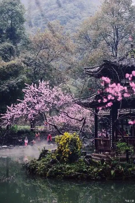 唯美文章关于人生感悟意境优美有深度的散文