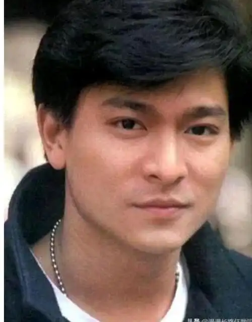 说起刘德华,是一个无人不知,无人不晓的人物,他由八十年代红到现在,足