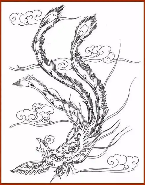 书画联盟丨优美的凤凰白描线稿