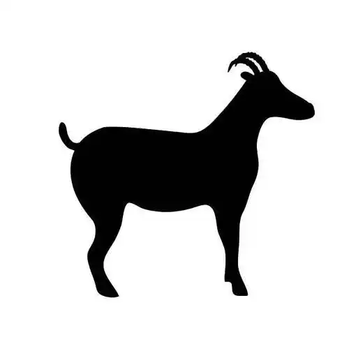 剪影_山羊_站立_白色背景_黑色_有角_黄道十二宫_黄道宫形_中国人