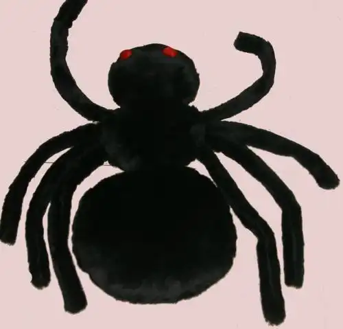 黑色蜘蛛简笔画彩色
