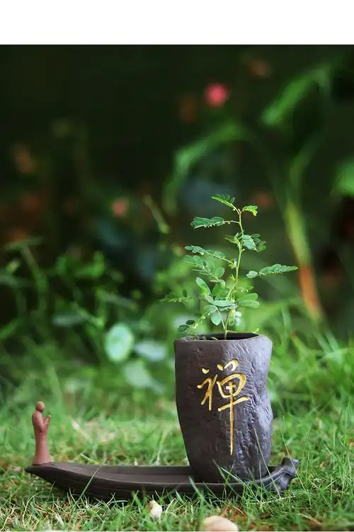 陶瓷紫砂多肉植物花盆水培花器禅意六君子蜗牛猪茶宠摆件静禅悟