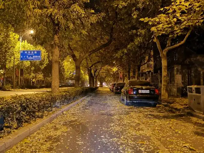 凌晨的街道 - 花粉随手拍夜景 花粉俱乐部