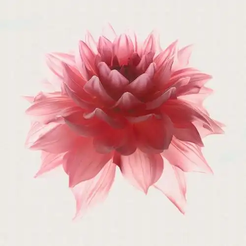 粉色花朵细致抠图,源文件,psd分层素材,免费下载 - 绘艺素材网