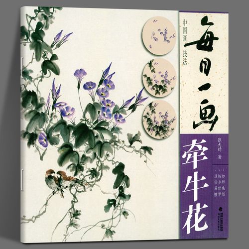 每日一画牵牛花 中国画技法国画入门基础教程书写意水墨画牵牛花册页