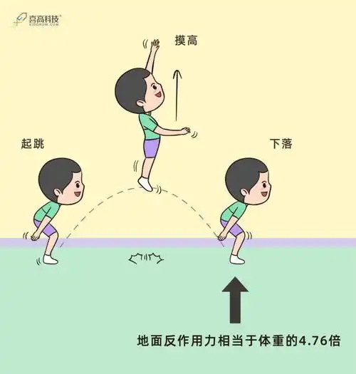 76个你加在一起的重量.因为是尽力向高处跳,所以落地时冲击力很大.