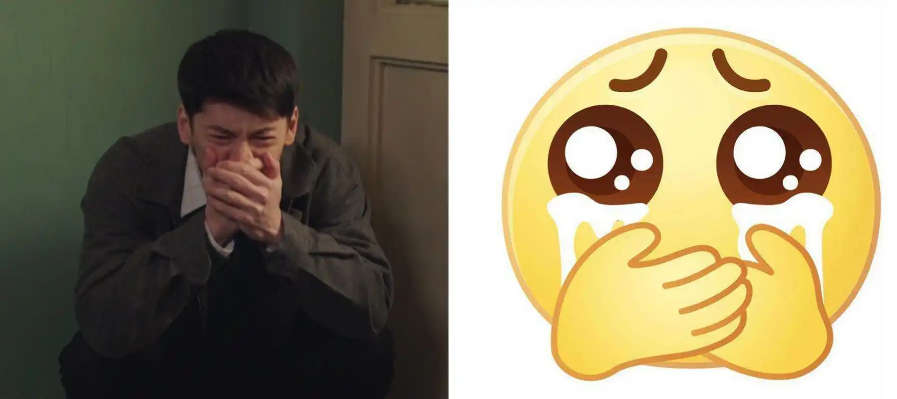 叶国华撞脸捂嘴哭表情包# 建议大家都去给我看这一集的《梦中的那片