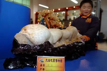 图文一个农民收藏家的奇石世界6