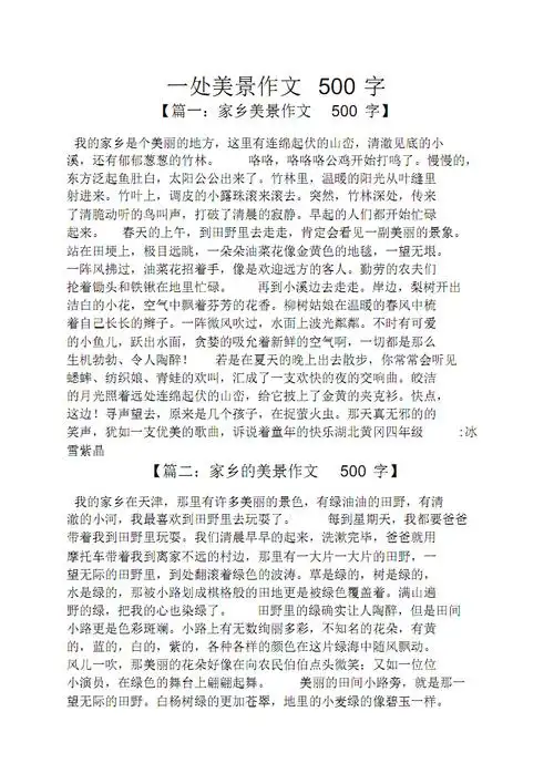 作文范文之一处美景作文500字.pdf 7页